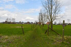 Le sentier entre Les Deux Nos et No à Houx, seconde partie