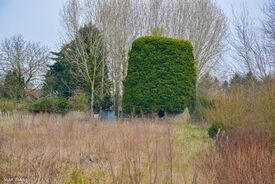 Le moulin Lejeune
