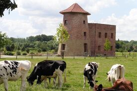 Le moulin Masse