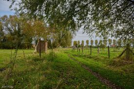 le chemin de la Noyelle